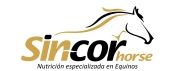 sincor horse sincor horse