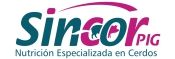 sincor pig sincor pig