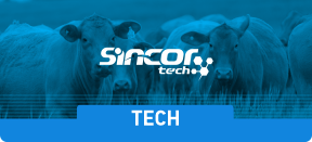 TECH